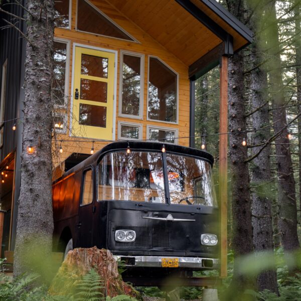 Salted Roots, Seward Alaska