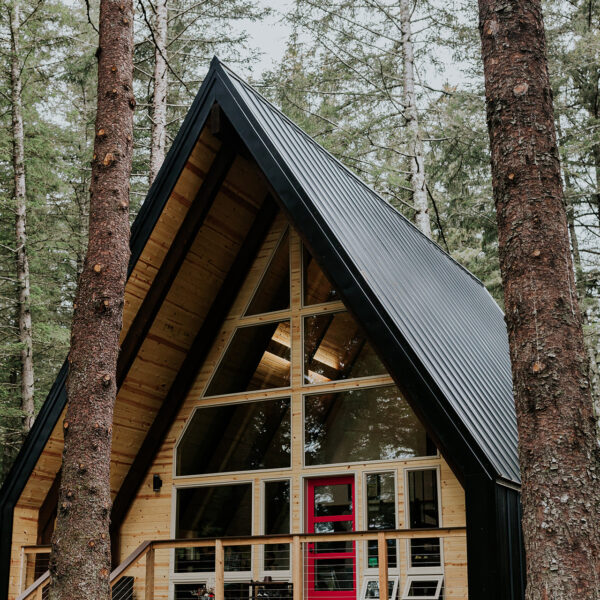 Salted Roots, Seward Alaska